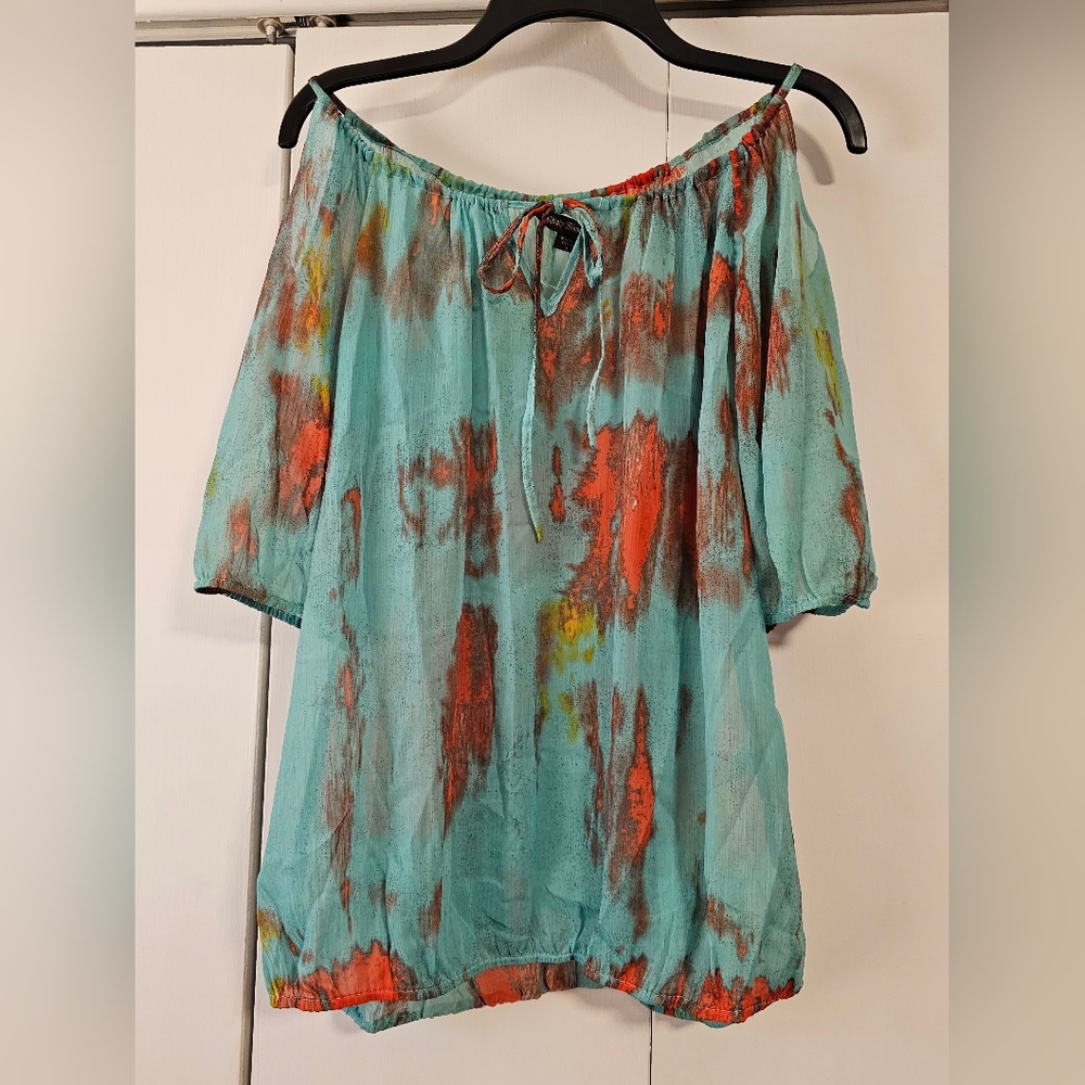 Stunning Colored Sheer Blouse